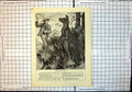 Original Old Antique Print Encounter With Kangaroo Boy Trees