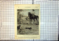 Original Old Antique Print Man Horse River Watched Man Horse