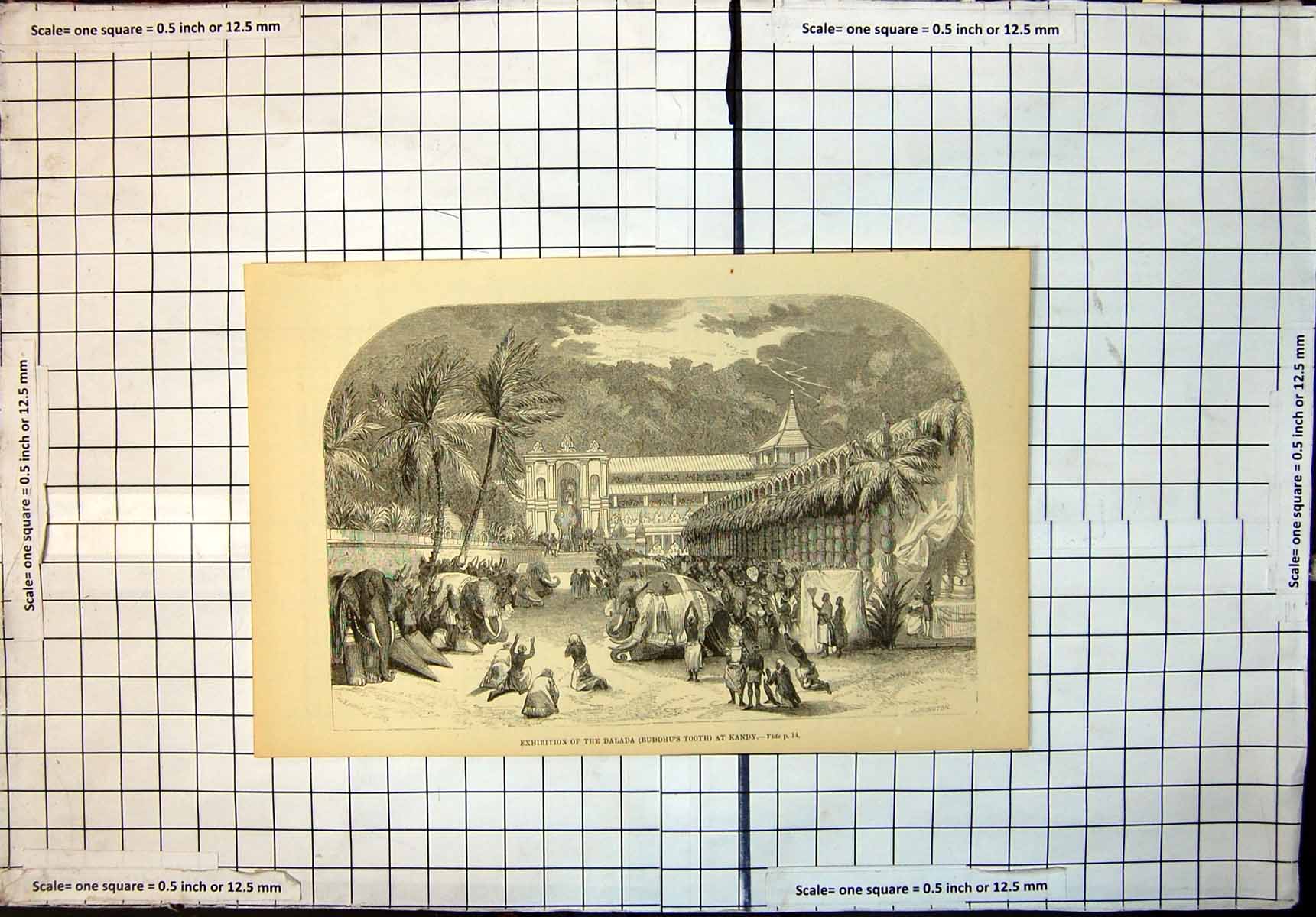 Original Old Antique Print Exhibition Dalada Buddhus Tooth At Kandy