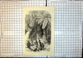 Original Old Antique Print New Zealand Forest Natives Spears Palm Trees 1860