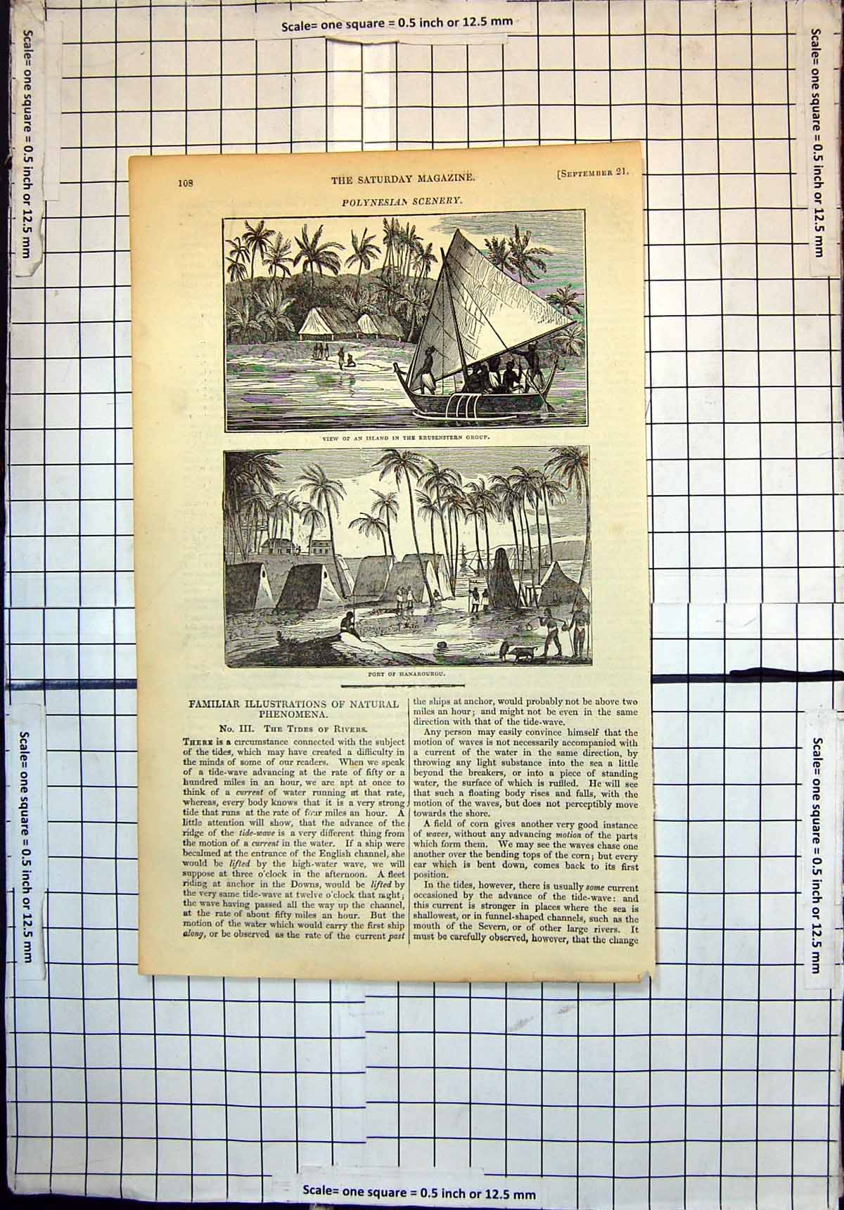 Old Polynesian Scenery Island Krusenstern Group Port Hanarourou 1833 19th