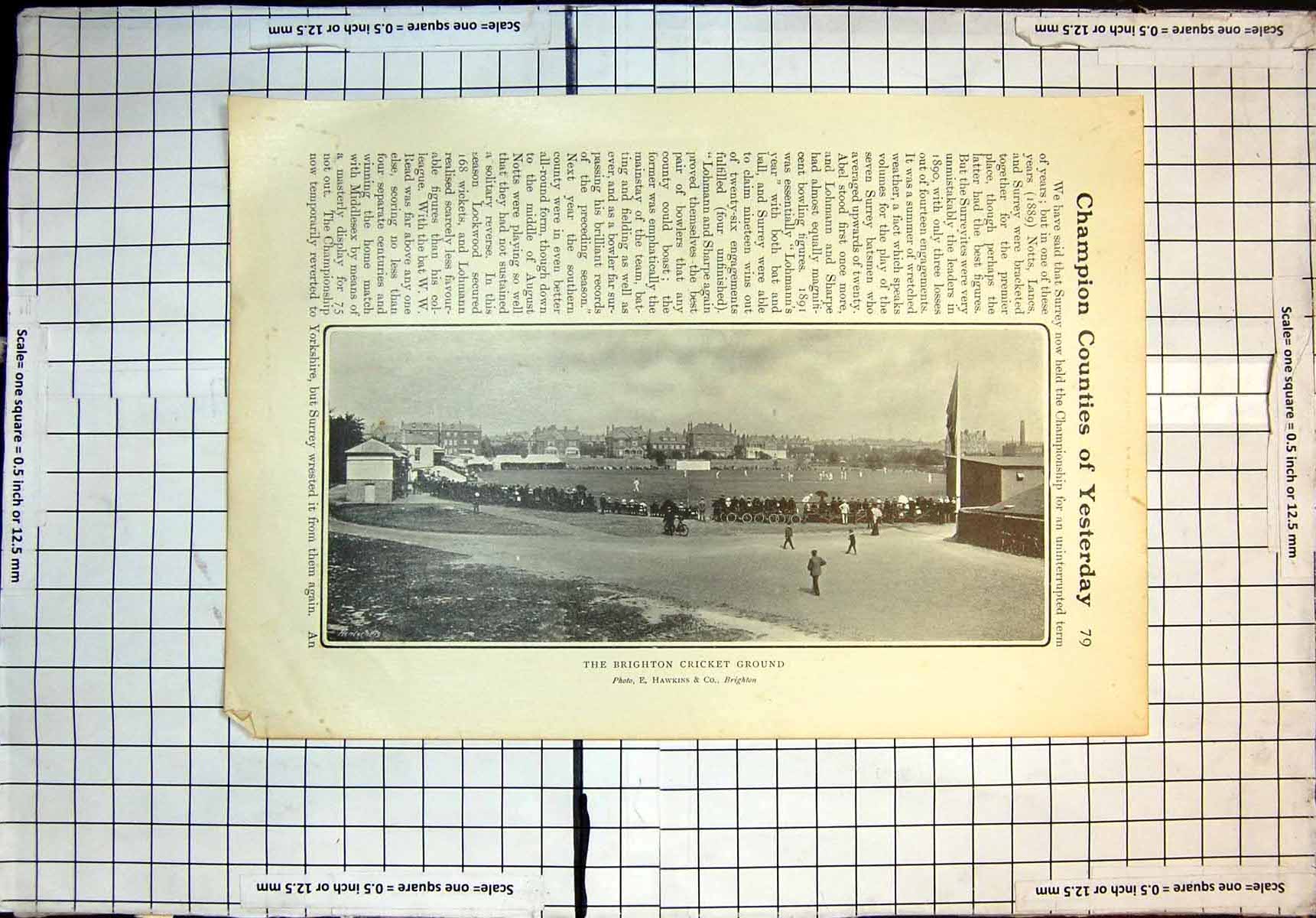 Original Old Antique Print Brighton Cricket Ground E Hawkins