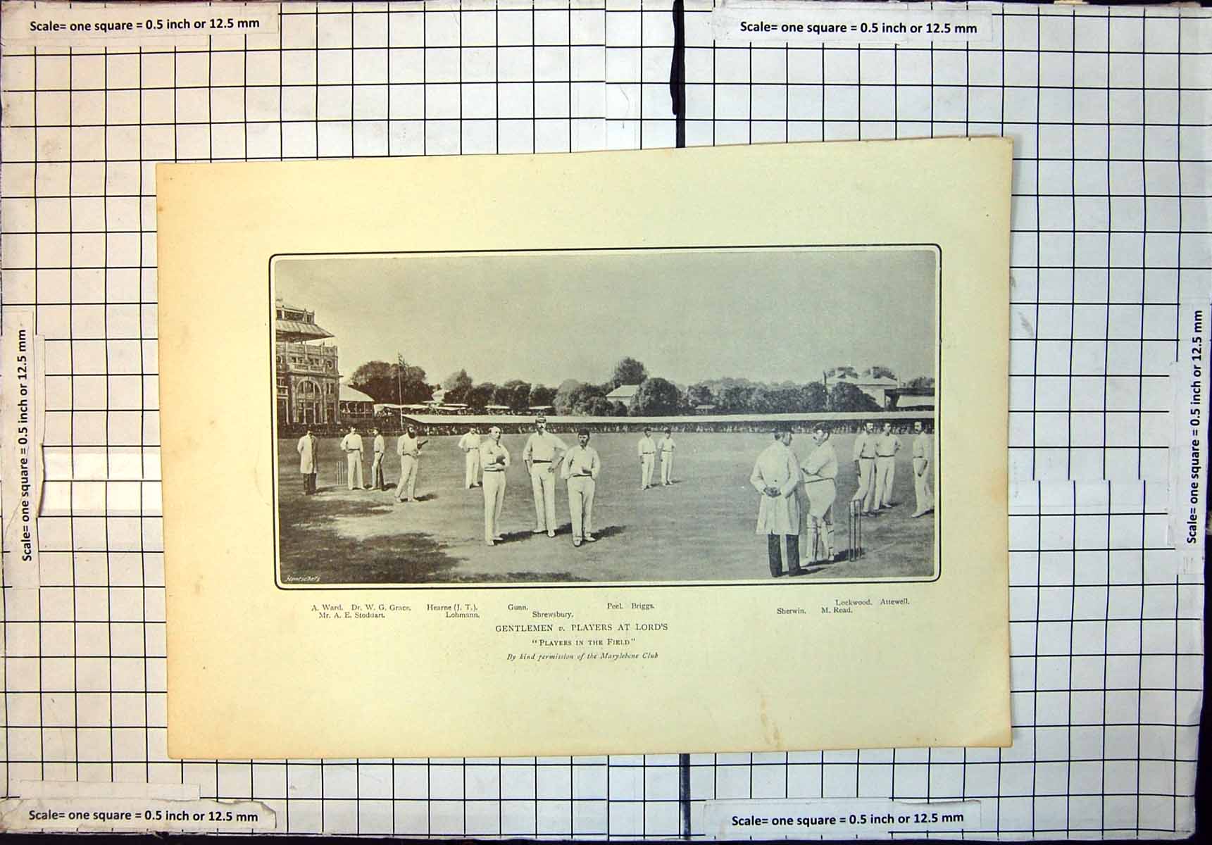 Old Print Gentlemen V Players At Lords Gunn Peel Briggs Sherwin Attewell