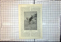 Old Print Tally Ho Lady Horse Hounds Steeplechasing Returning After Fall