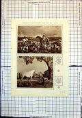 Antique Print Isaac Bell Foxhounds Mrs LeopDe Rothschild G Bernard Shaw 192