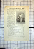 Original Old Antique Print Cricket Great Bowler Past Arthur Appleby Tate