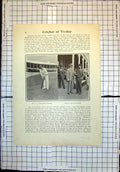 Old Print Cricket A Maclaren Batting Lilley Blackham Nurses South Africa