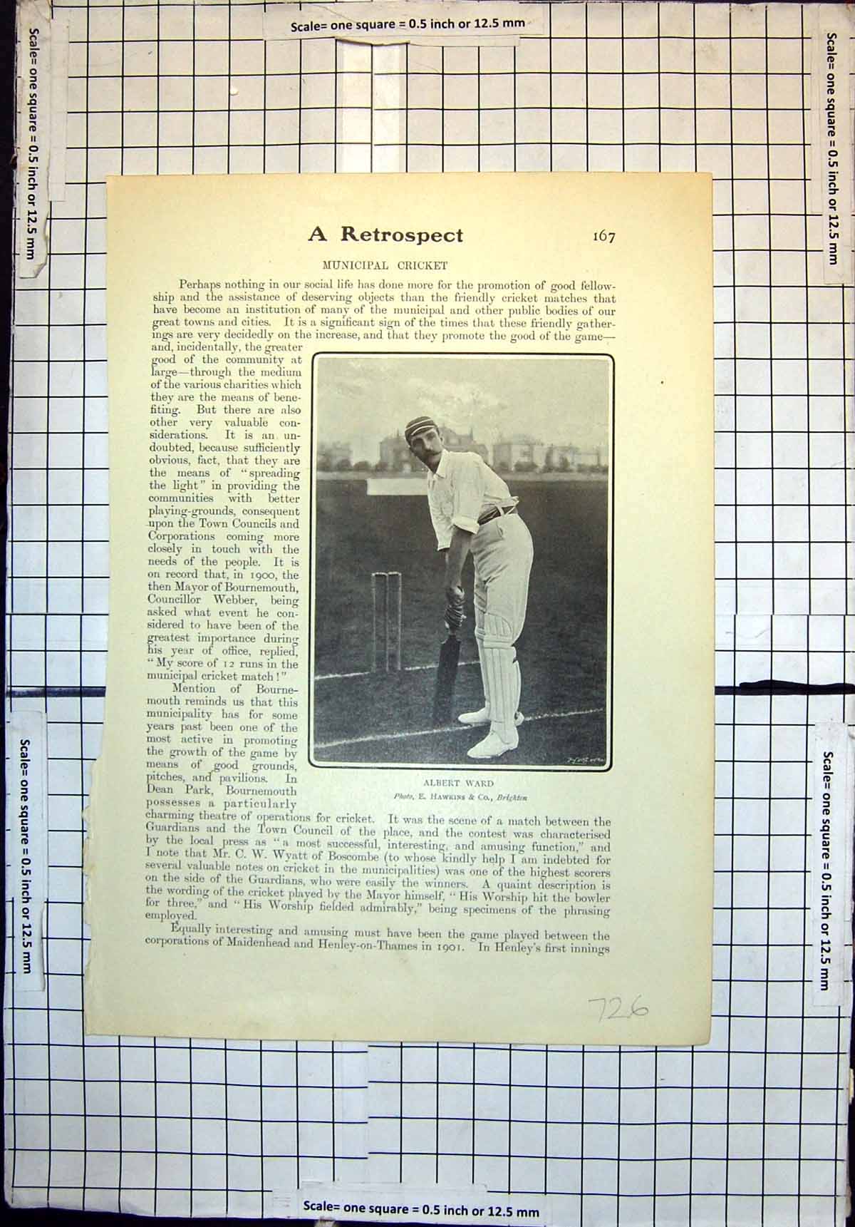 Original Old Antique Print Municipal Cricket Albert Ward Mr F G J Ford