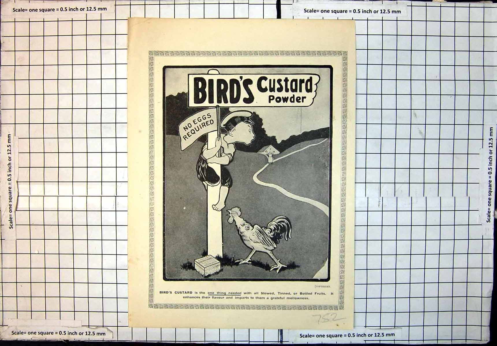 Antique Print Birds Custard Powder Quaker Oats Chivers Table Jelly Parties