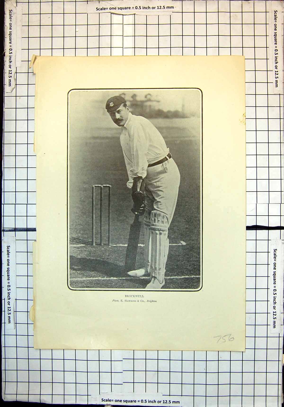 Original Old Antique Print Cricket Brockwell Gunn Shrewsbury