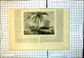Old Slavery Question Eastern Africa Mtipe Dhow Used Transport Slaves