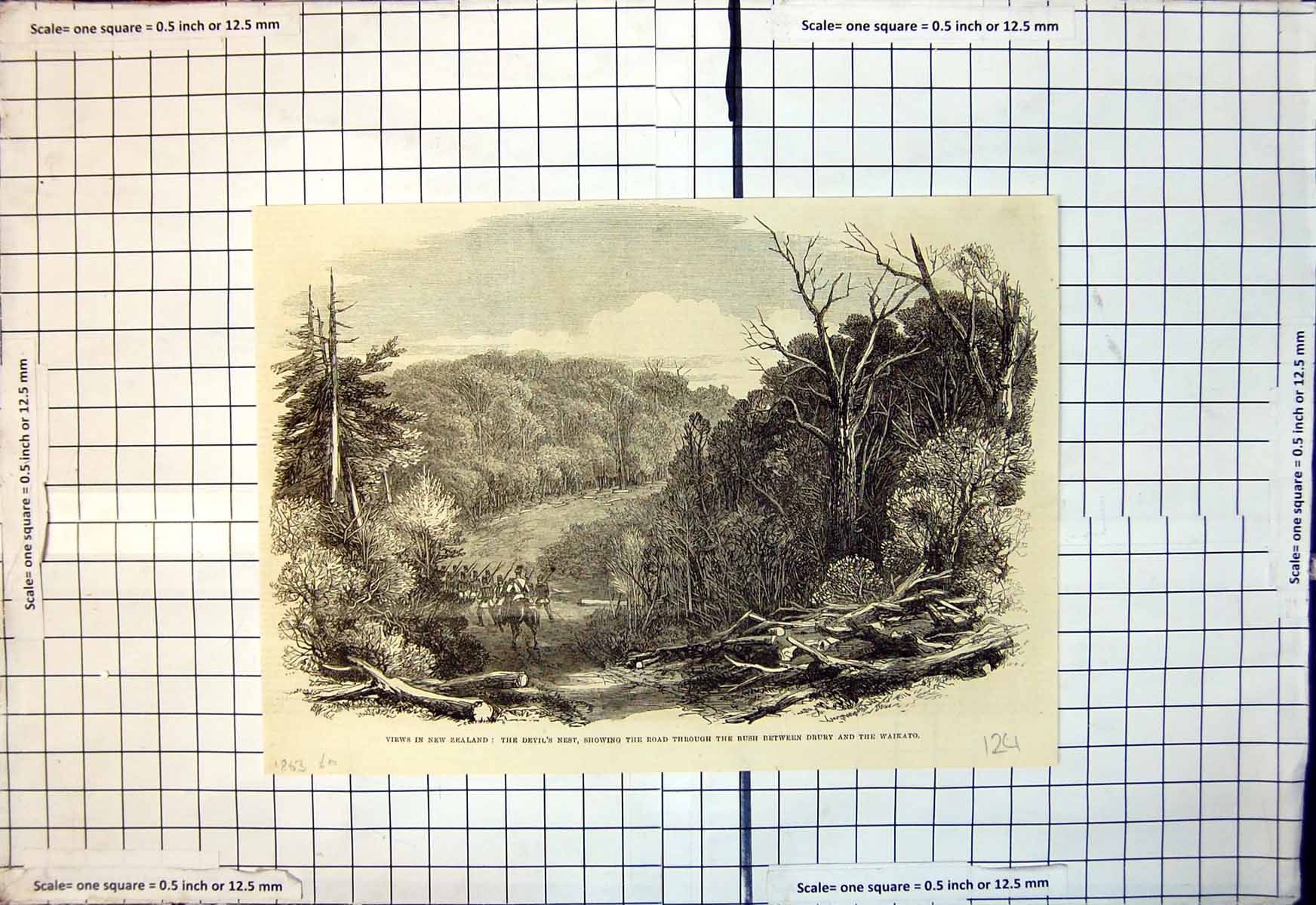 Antique Print New Zealand Devils Nest Road Through Bush Drury Waikato 1863 19th