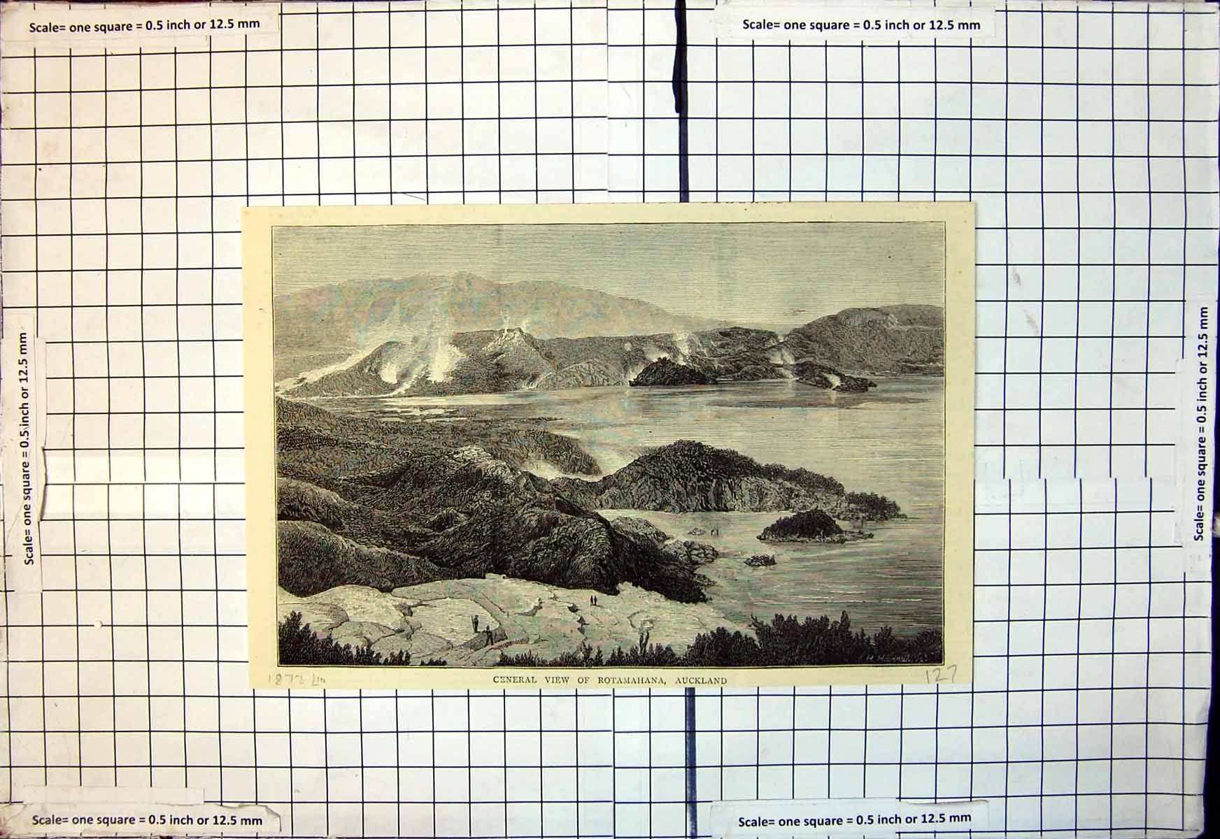 Original Old Antique Print General View Rotamahana Auckland New Zealand 1873