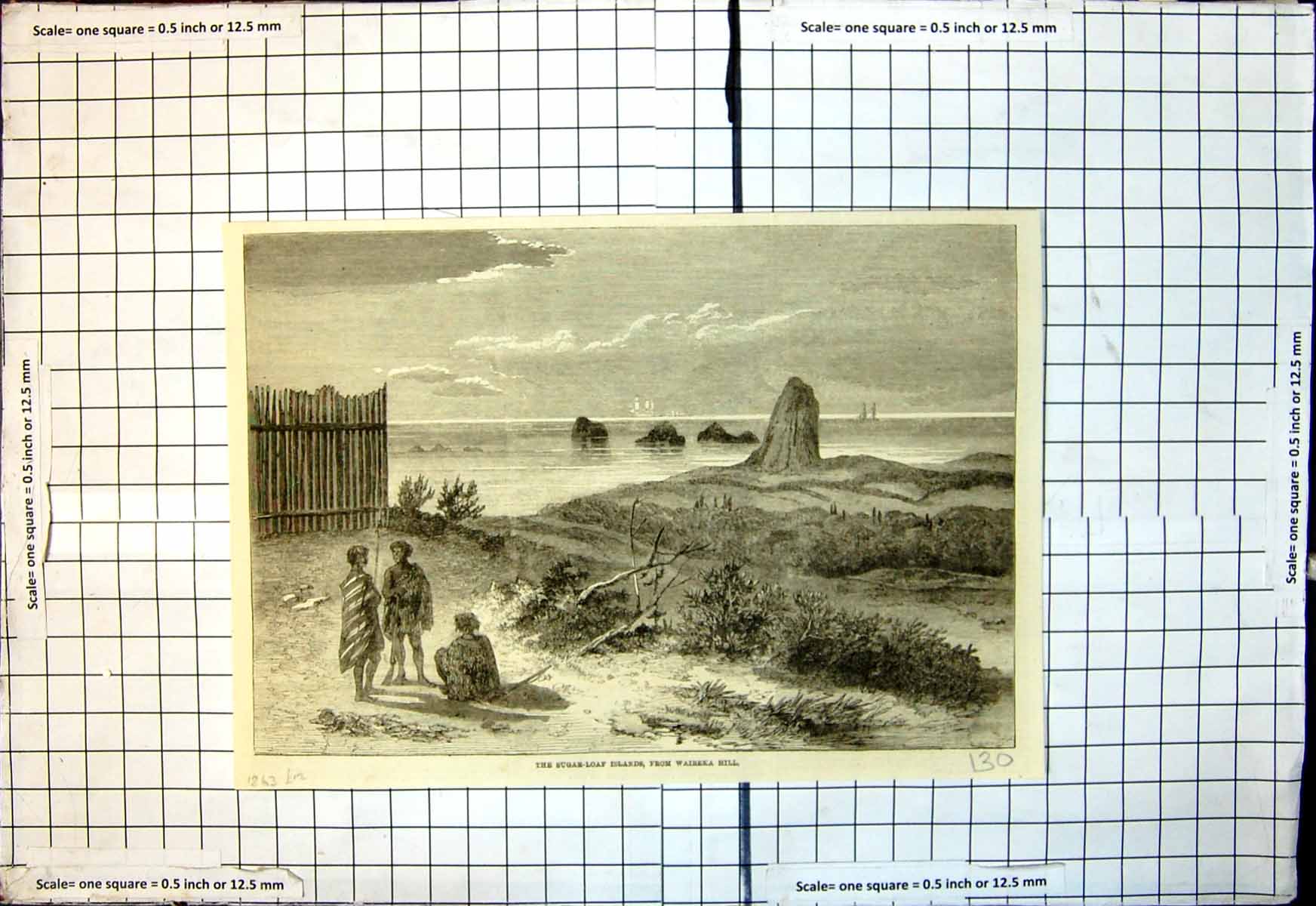 Original Old Antique Print Sugar Loaf Islands From Waireka Hill 1863 Victorian