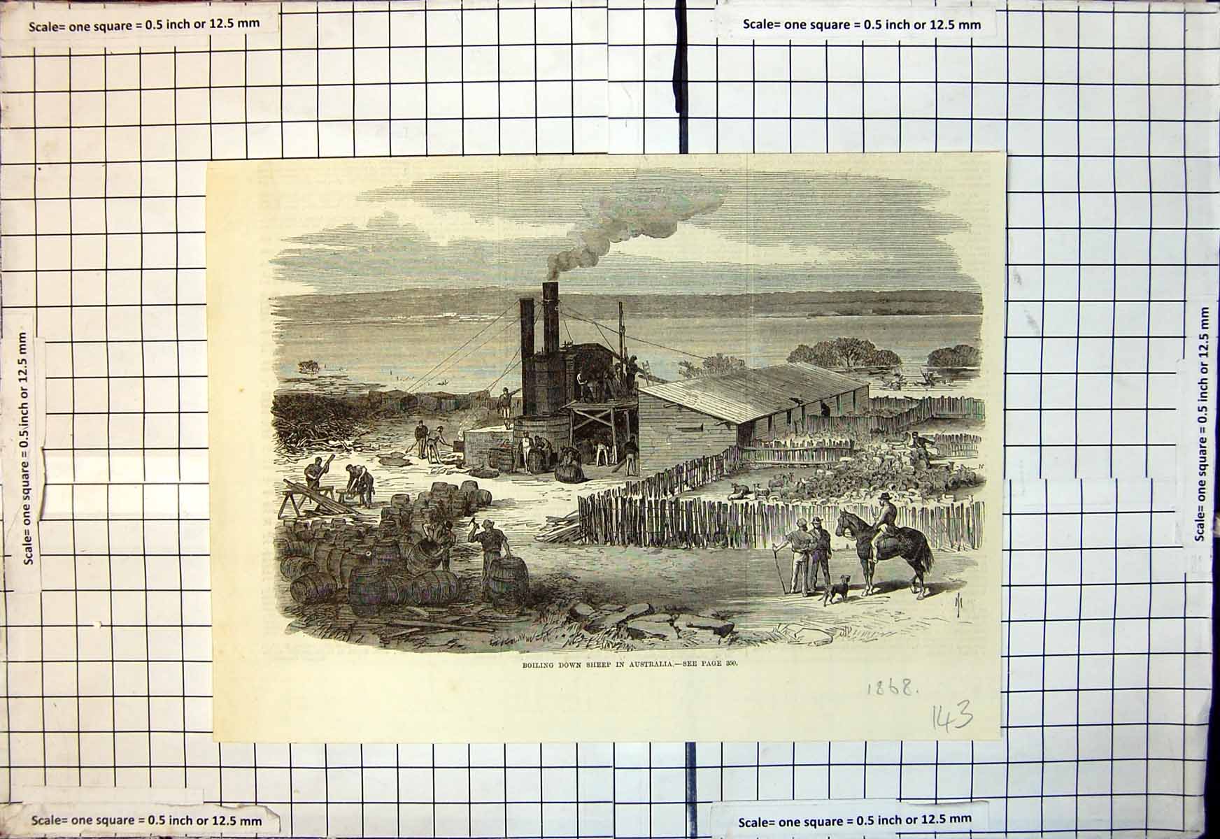 Old Antique Print Boiling Down Sheep Australia Men Working Barrels 1868 19th
