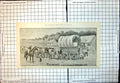 Antique Print Ellimans Embrocation For Outback Queensland Horse Cattle 1901