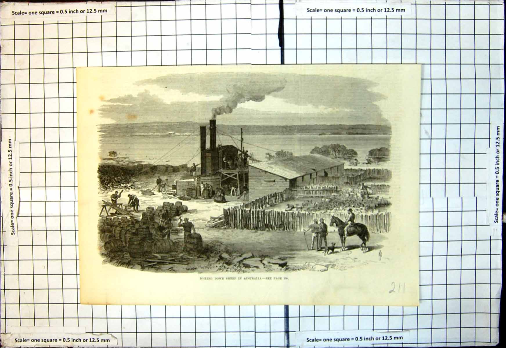 Old Antique Print Boiling Down Sheep Station Australia Pens Barrels 1868 19th