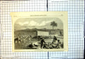 Old Antique Print Sheep Washing Australia Sheep Pens Shepherds Dog 1865 19th