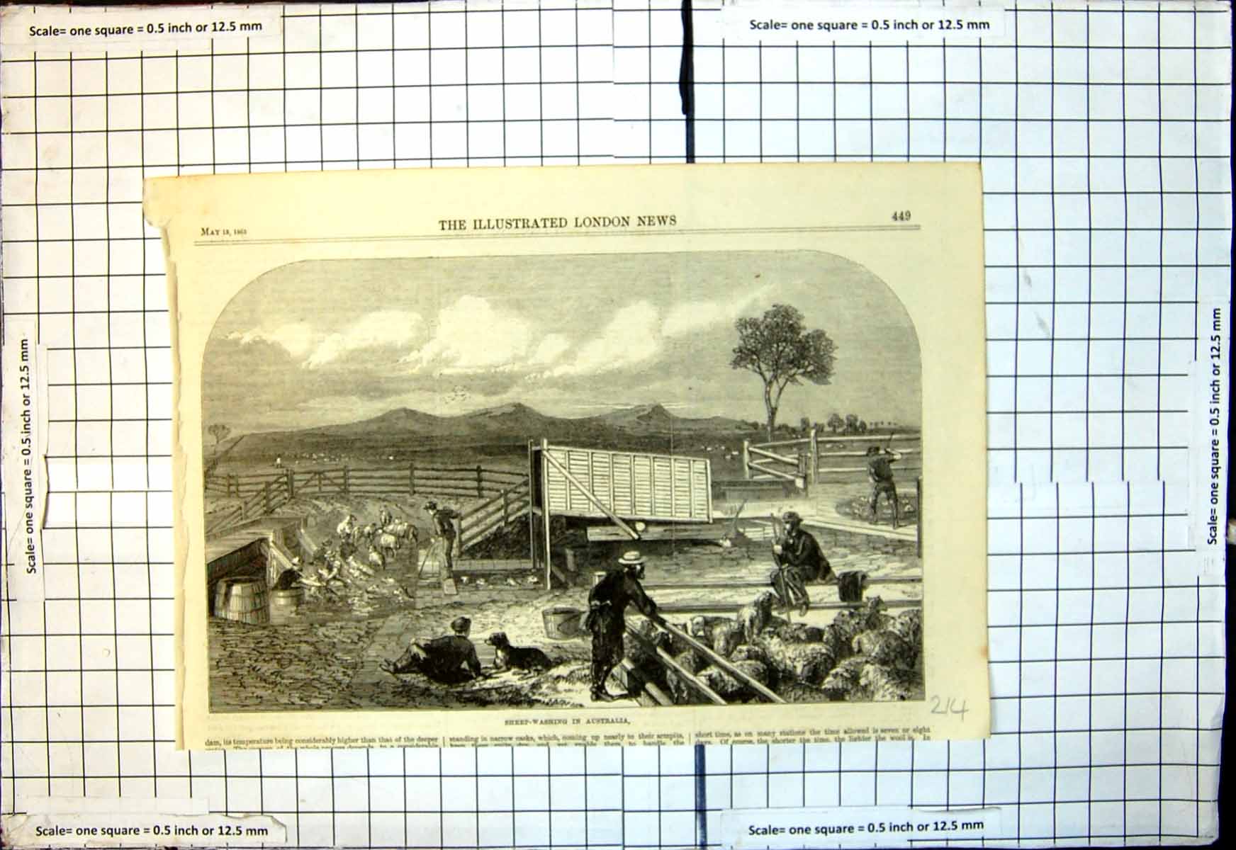 Old Antique Print Sheep Washing Australia Sheep Pens Shepherds Dog 1865 19th