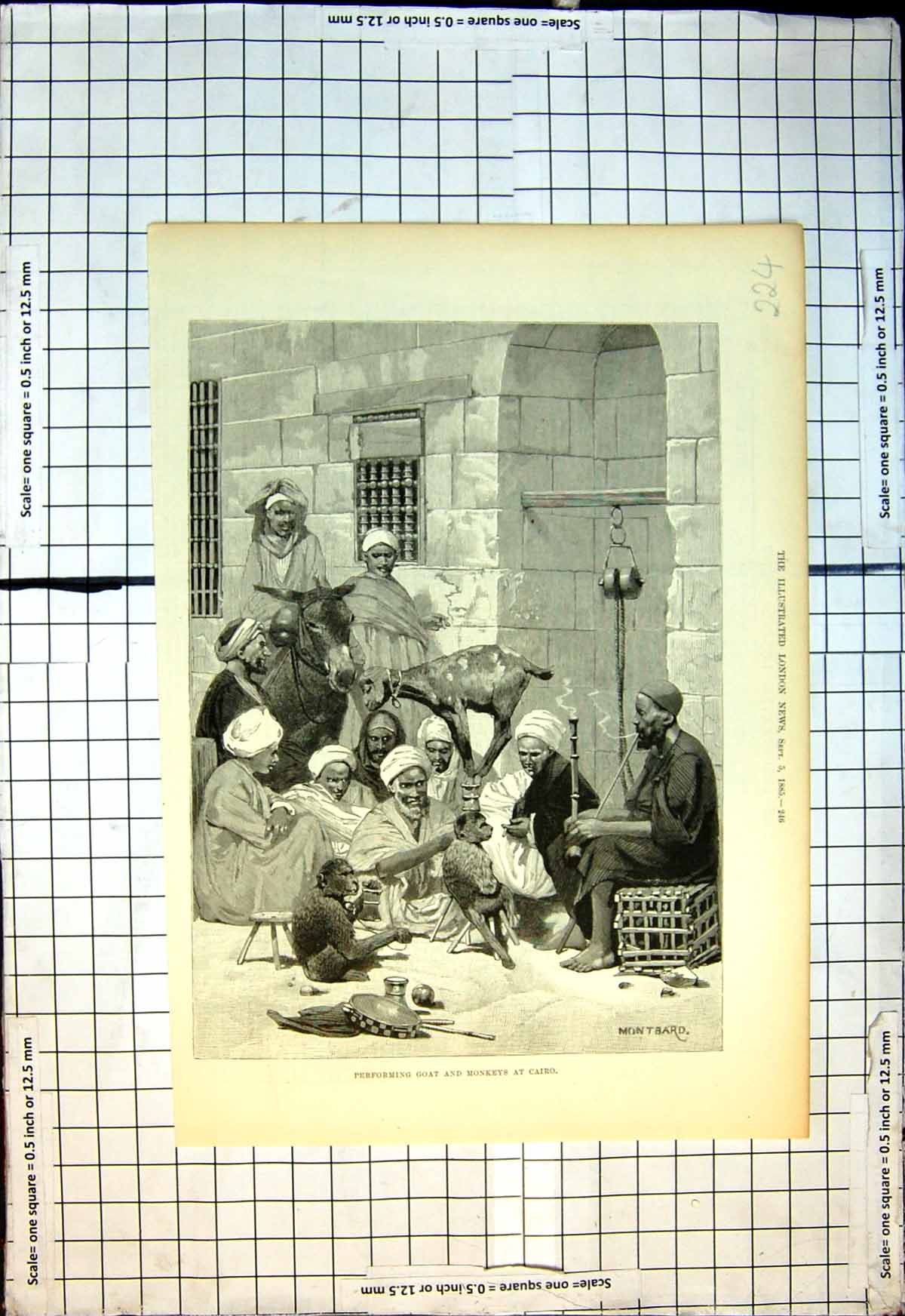 Original Old Antique Print Performing Goat Monkeys Cairo Montbard 1885 19th
