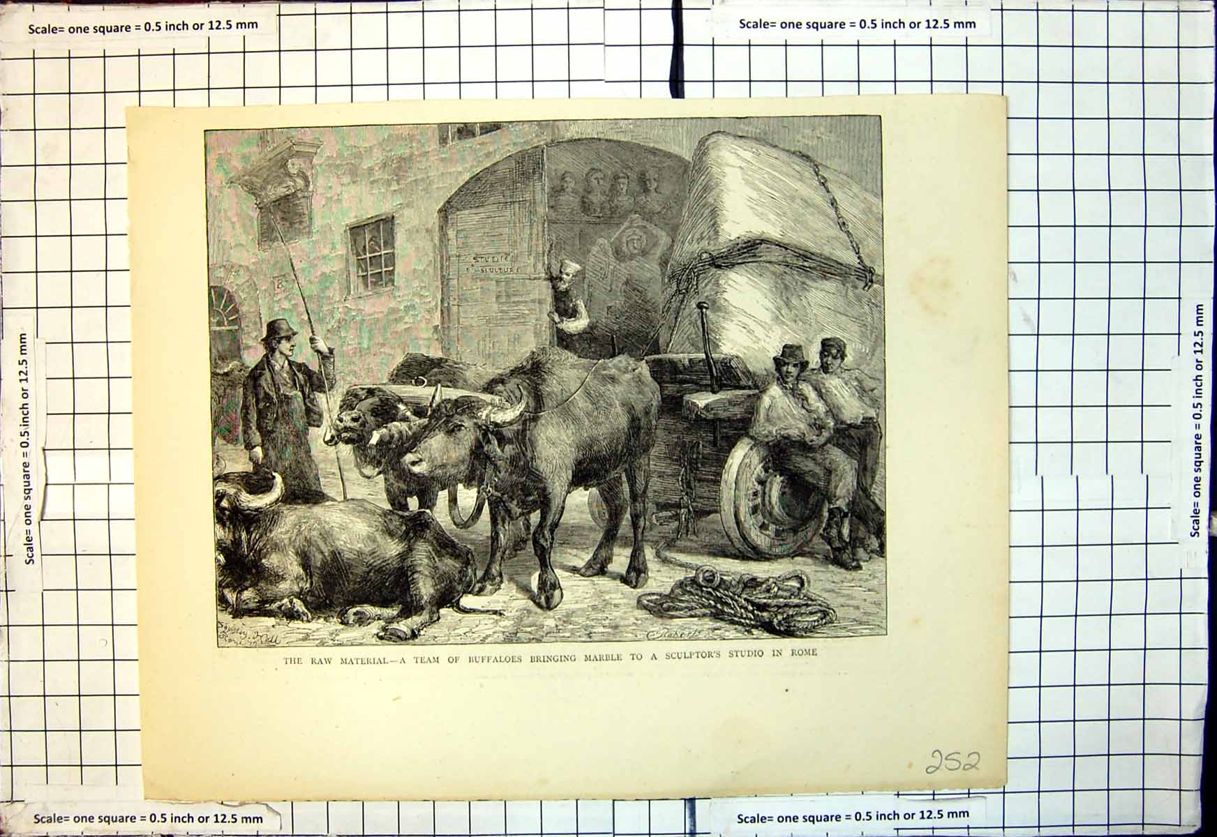Old Raw Material Team Buffaloes Bringing Marble Sculptors Studio Rome