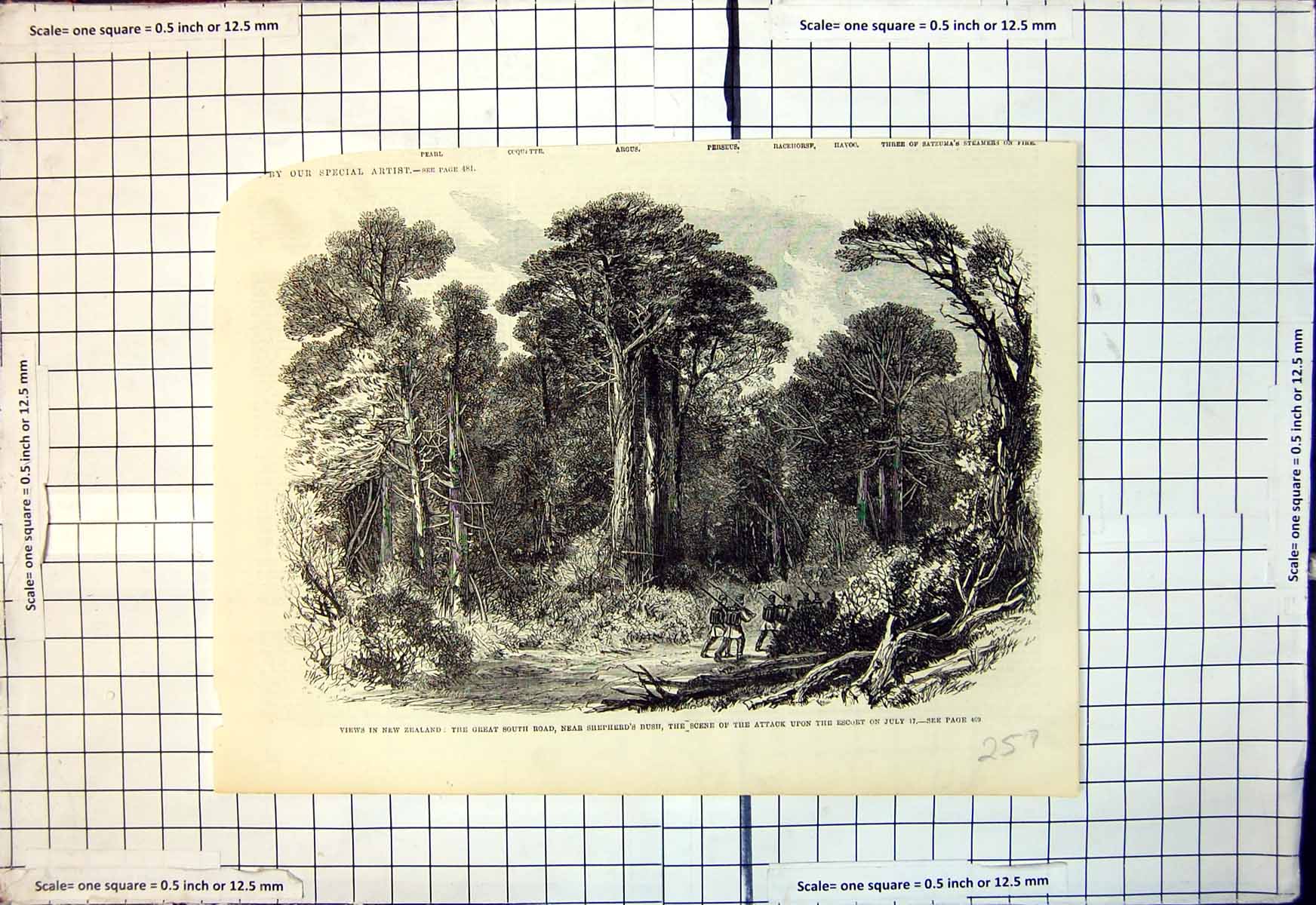 Old Print New Zealand Great South Road Shepherds Bush Scene Attack Escort