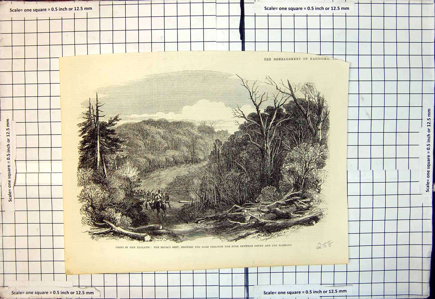 Old Print Devils Nest Road Through Bushbetween Drury Waikato New Zealand