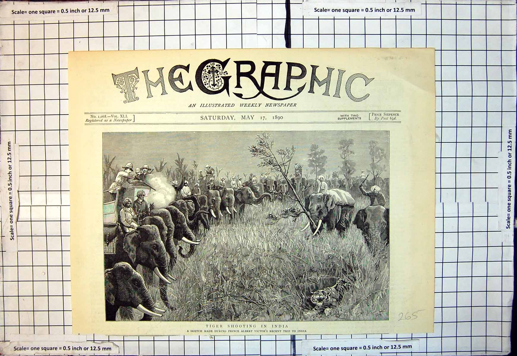 Old Tiger Shooting India During Prince Albert Victors Recent Trip 189 Victorian