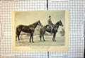 Old Ride Russia France Horseback Lieut Asseff Chargers Diana Vledga