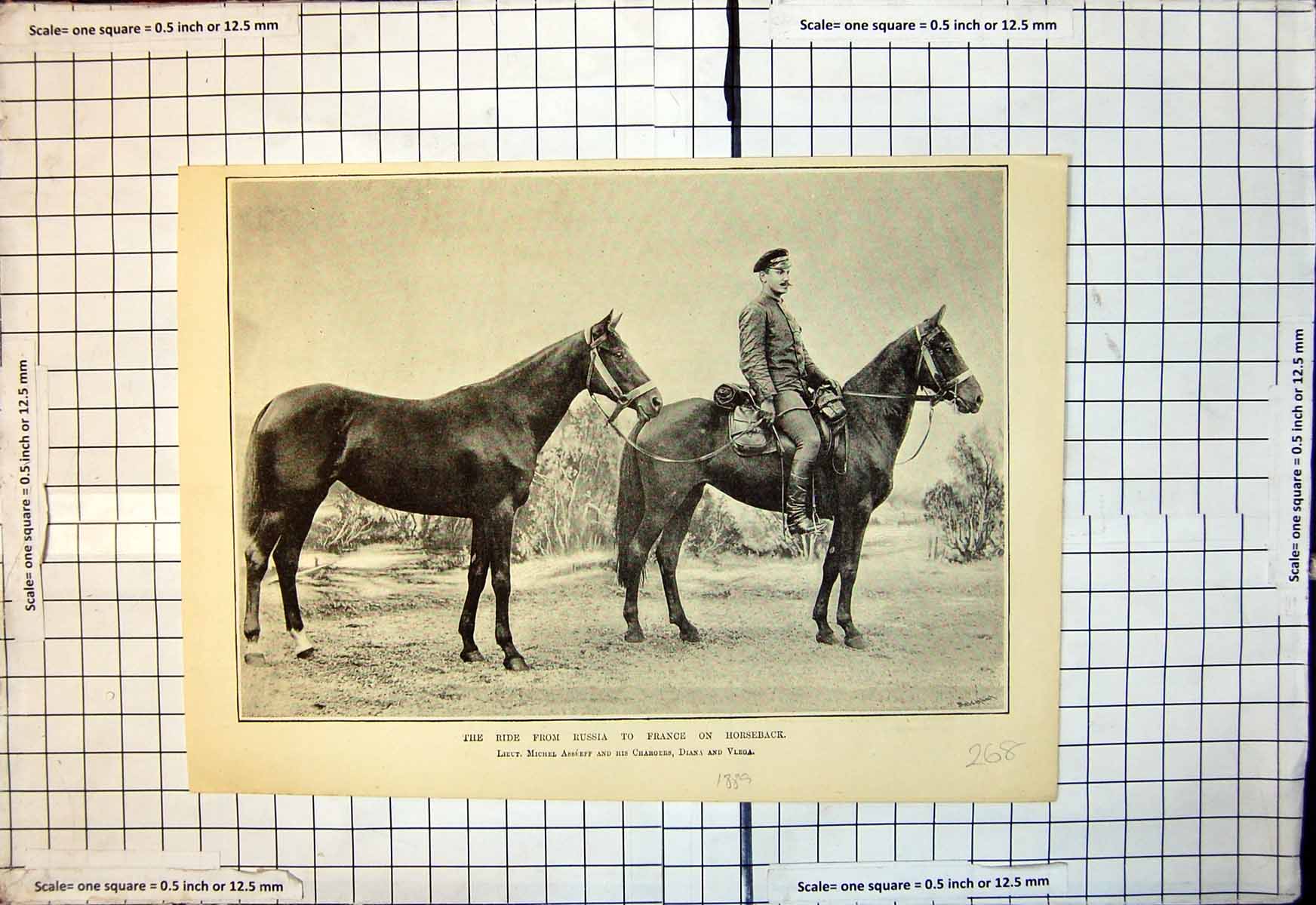 Old Ride Russia France Horseback Lieut Asseff Chargers Diana Vledga