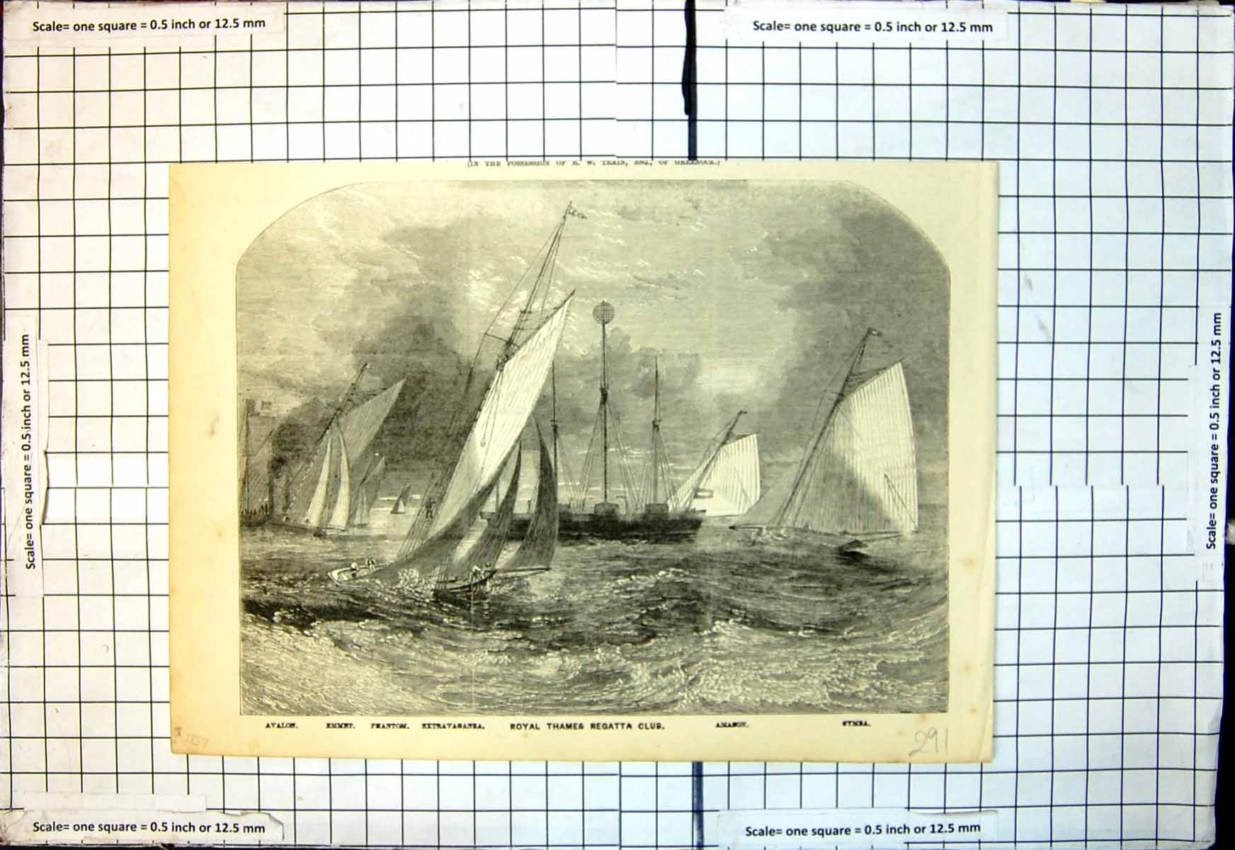 Antique Old Print Royal Thames Regatta Club Amazon Phantom Avalon Emmet 1858