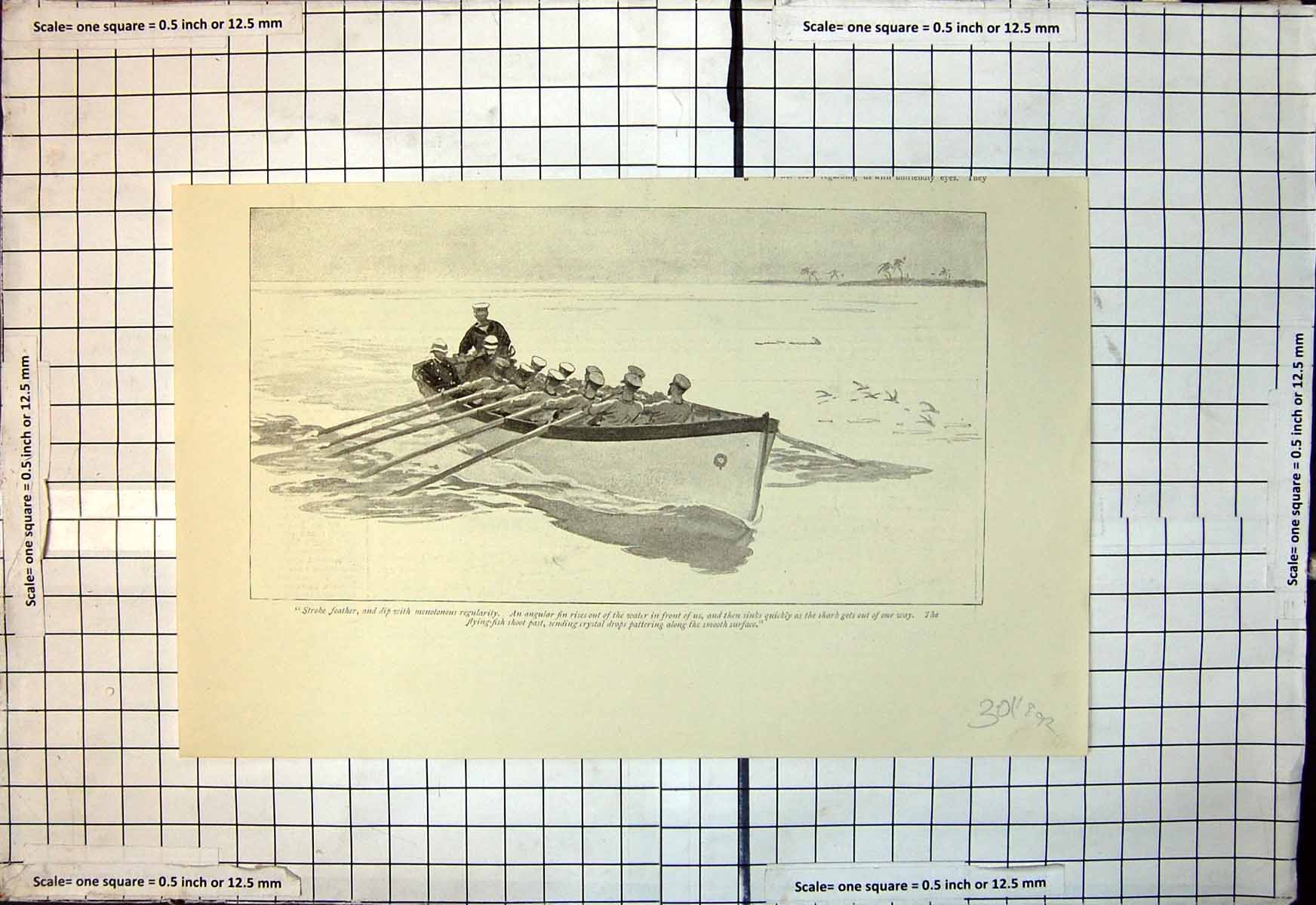 Antique Print Siers Rowing Boat Monotonous Regularity Fin Shark Water 1892 19th