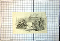 Original Old Antique Print Grand Tournament Caserta Naples Horses Armour 1846