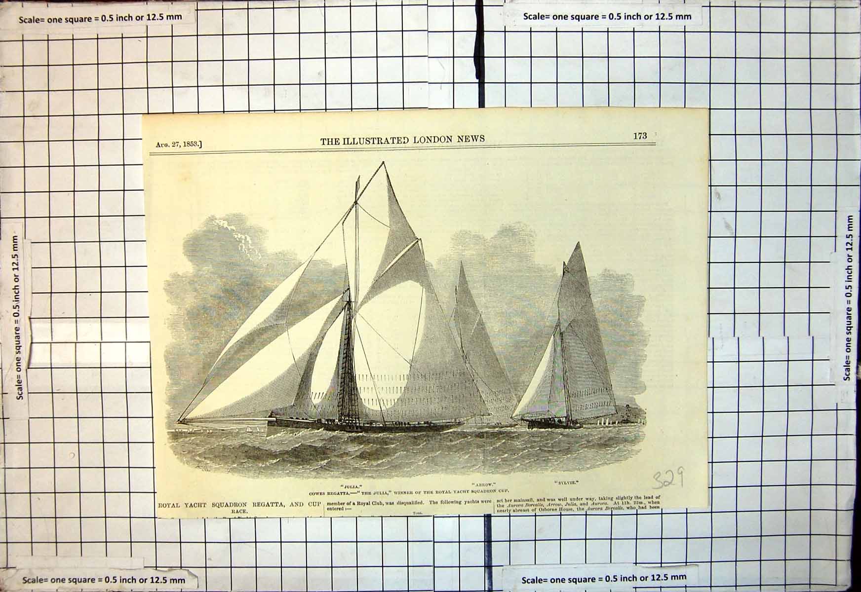 Old Print Cowes Regatta Julia Winner Royal Yacht Squadron Cup Arrow 1853 19th