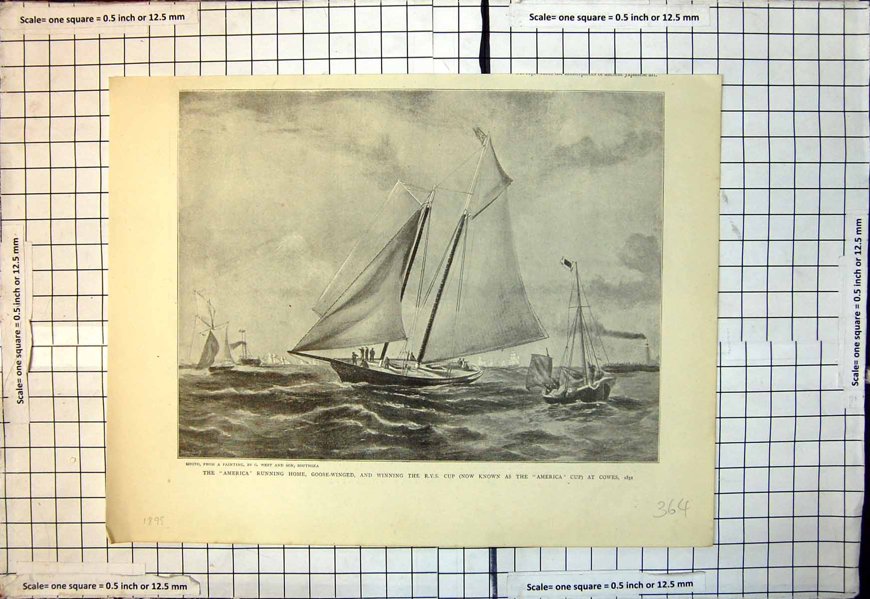 Antique Print America Running Home Goose Winged Winning Rys Cup Cowes 1895 19th