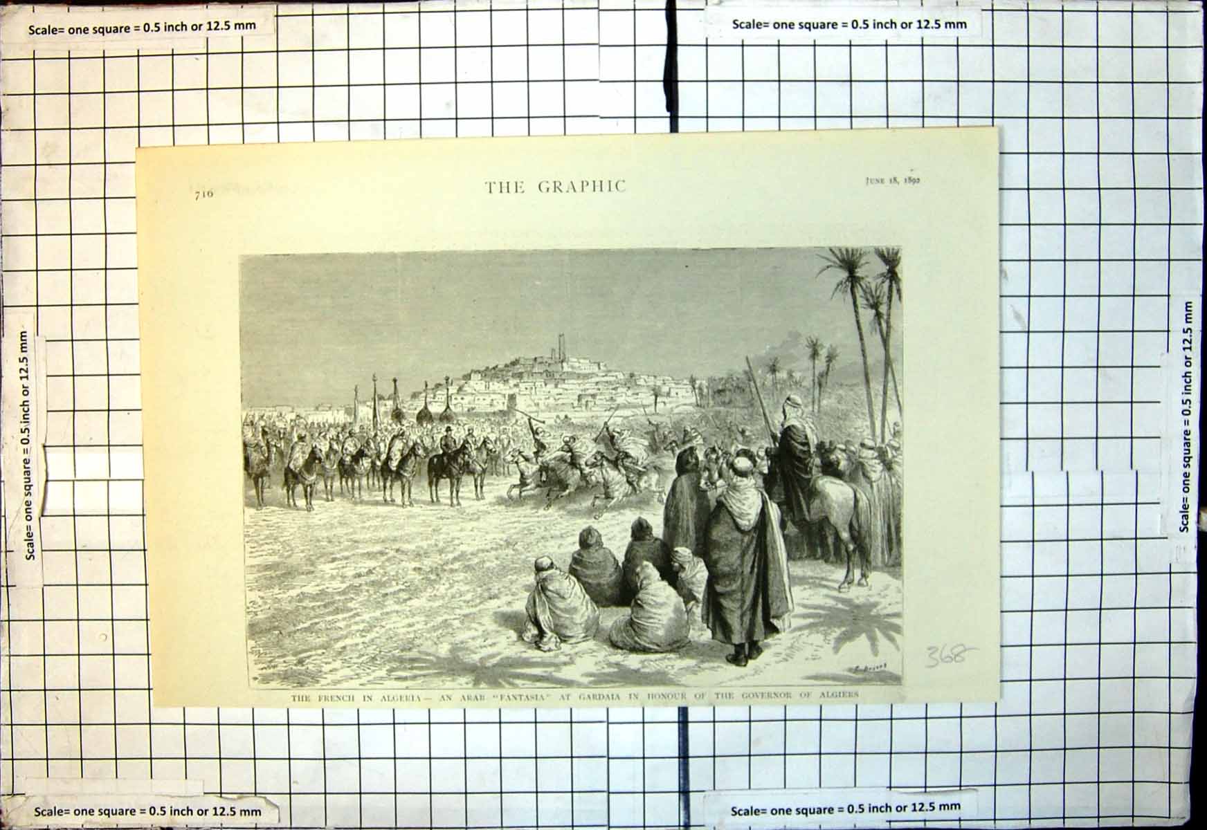 Old French Algeria Arab Fantasia Gardala Honour Governor Algiers 1892 Victorian