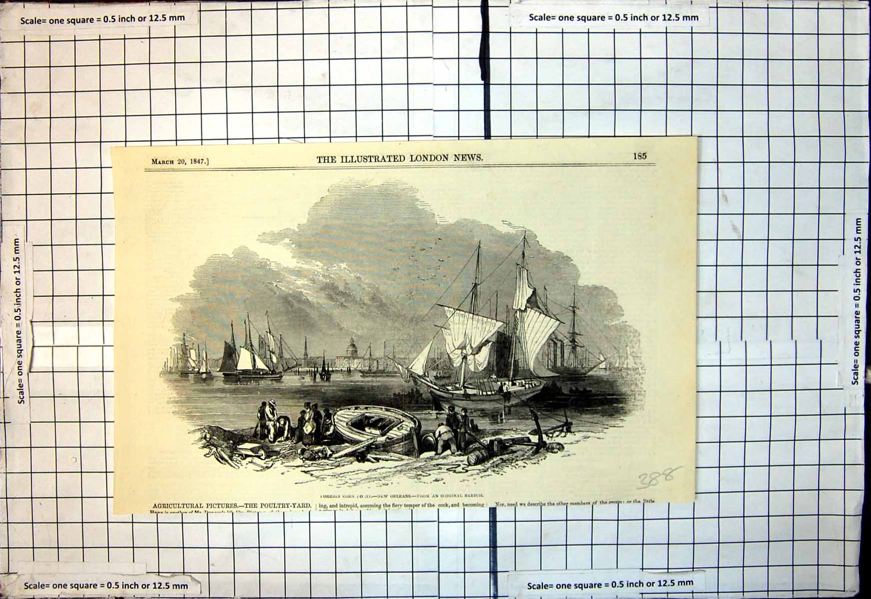 Original Old Antique Print Foreign Corn Ports New Orleans Ships Bay 1847 19th