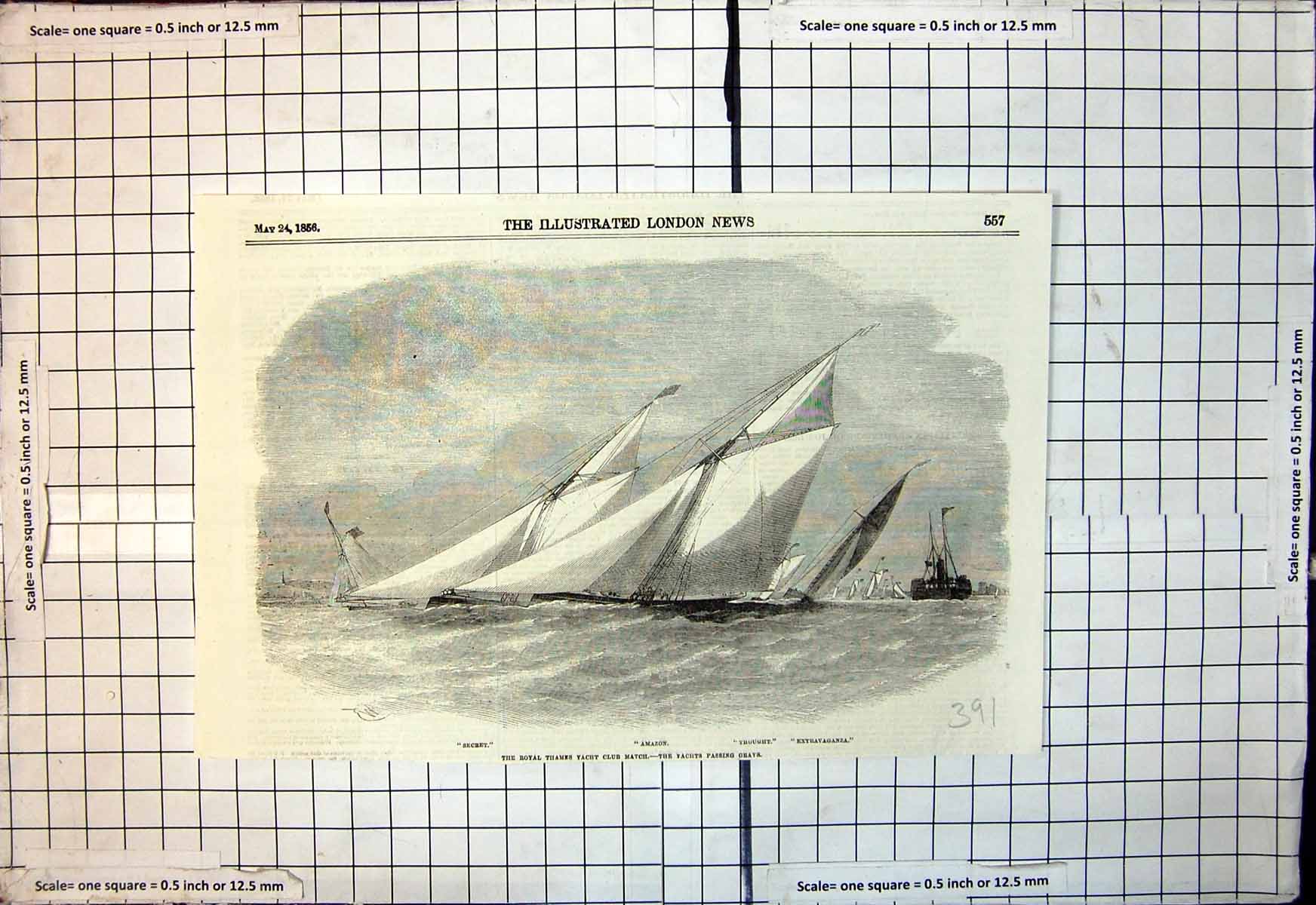 Old Print Royal Thames Yacht Club Match Grays Amazon Thought Secret 1856 19th