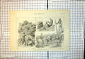 Antique Print Panther Shooting India Steady Shot Shikari Starting Home 1889