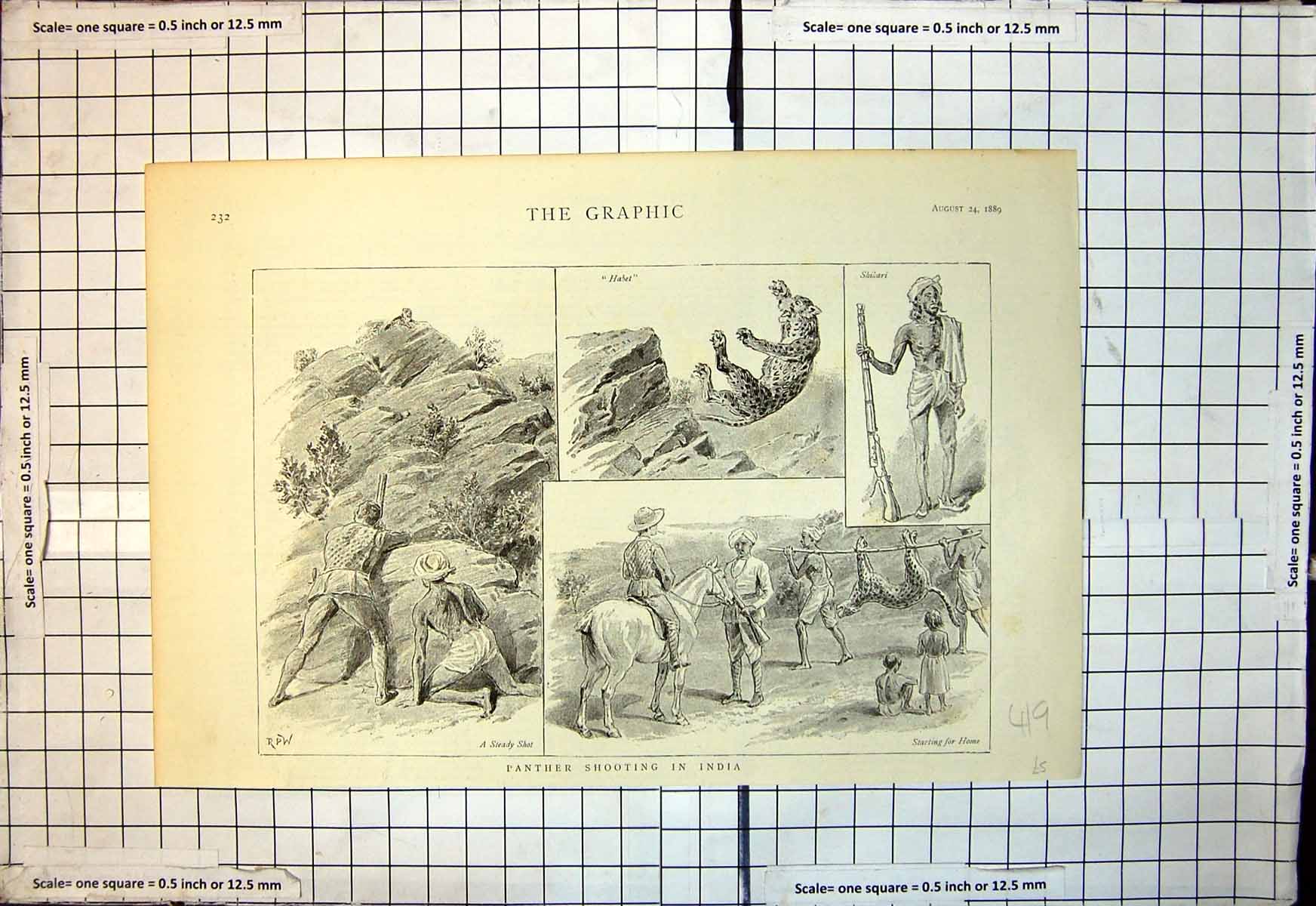 Antique Print Panther Shooting India Steady Shot Shikari Starting Home 1889