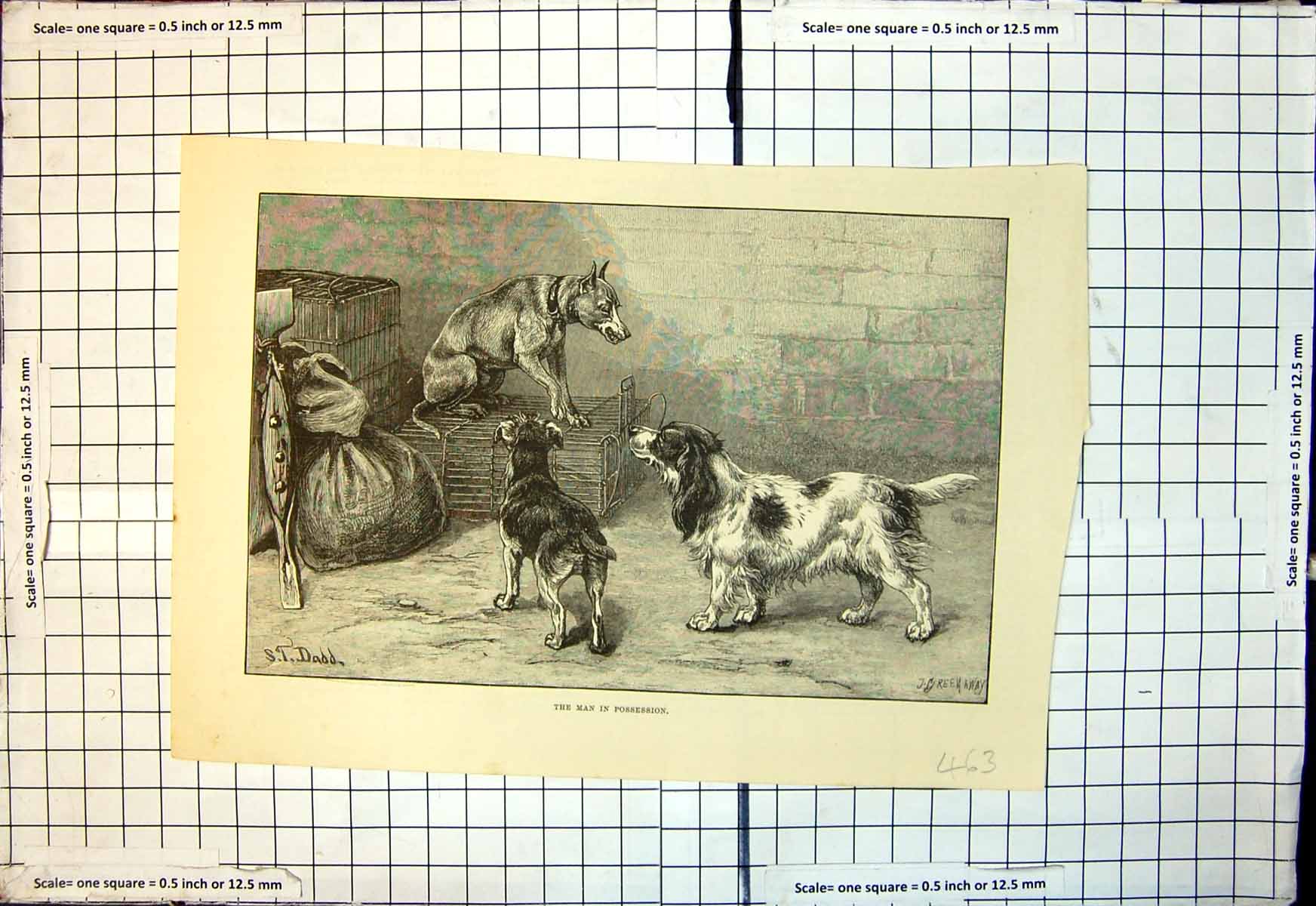 Old Print Man In Possession J Greenaway S Dadd Dog Cage Growl Other Dogs