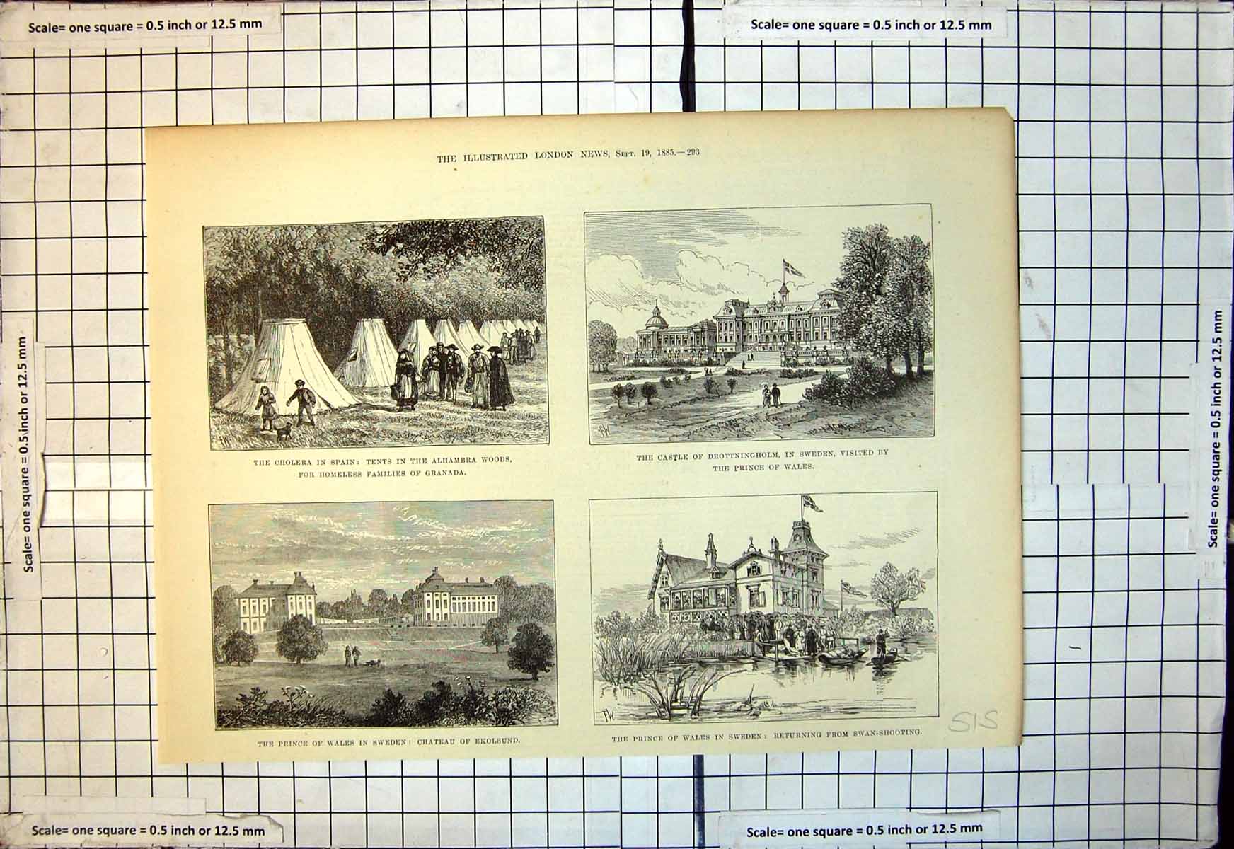 Old Cholera Spain Prince Wales Sweden Chateau Ekolsund Swan Shoot1885 Victorian