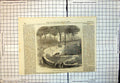 Antique Print Bear Pit Berne Switzerland Where Englishman Killed Bear 1861 19th