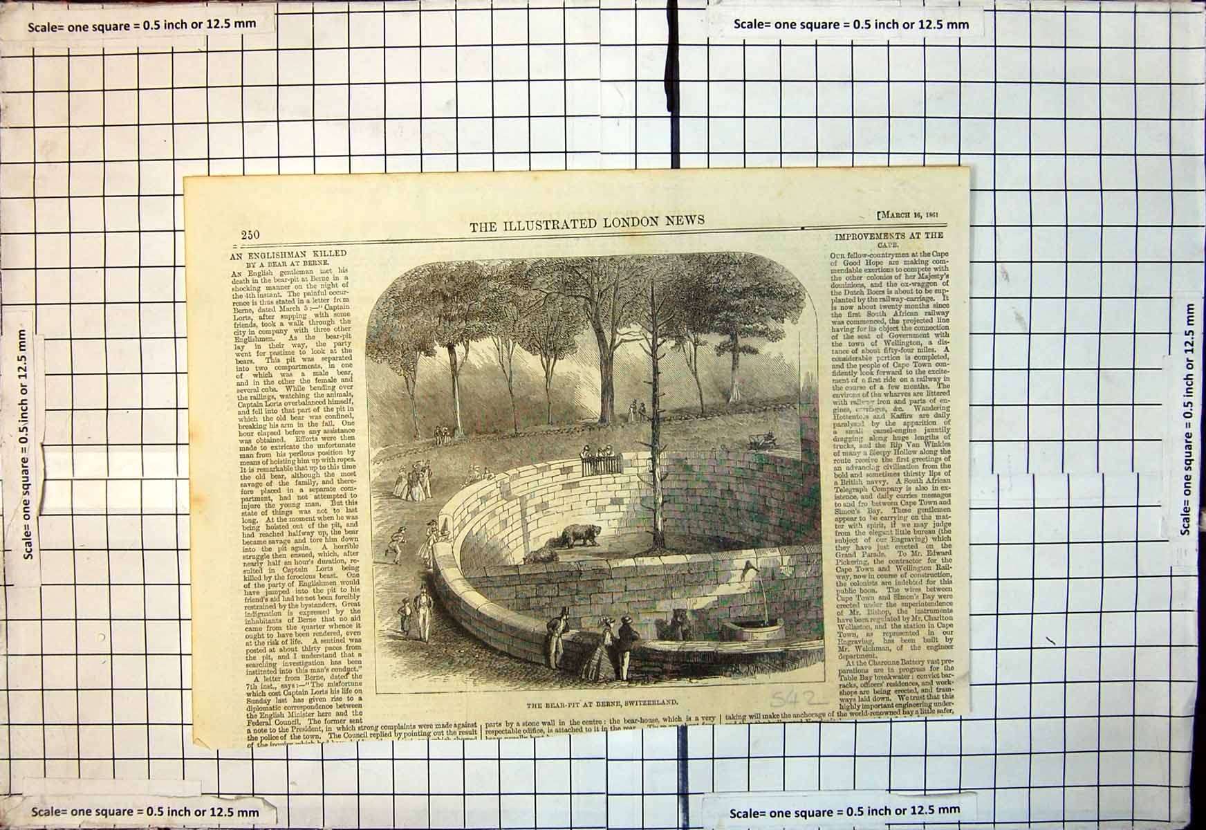 Antique Print Bear Pit Berne Switzerland Where Englishman Killed Bear 1861 19th