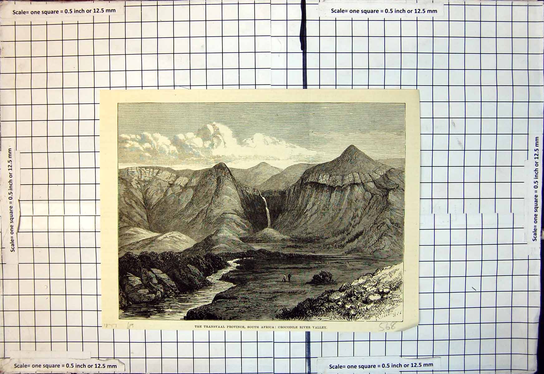 Antique Old Print Transvaal Province South Africa Crocodile River Valley 1877