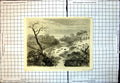 Antique Print River Magaloquain Transvaal Cattle Horses Crossing River 1877