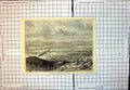Original Old Antique Print Town Pretoria Capital Transvaal 1877 19th