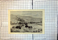 Original Old Antique Print Ostrich Farm Cape Good Hope 1873 19th