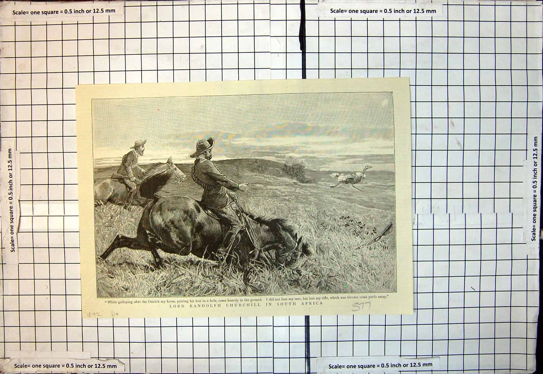 Old Lord Randolph Churchill South Africa Horse Fell Ground Ostrich1892 19th