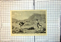 Old Antique Print Attacked By Ostrich Incident Farm Cape Good Hope 1883 19th